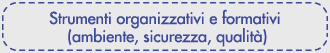 Strumenti organizzativi e formativi (ambiente, sicurezza, qualit)