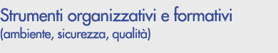 Strumenti organizzativi e formativi (ambiente, sicurezza, qualit)